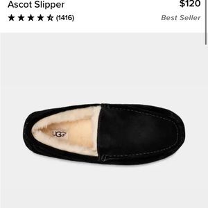 Ascot ugg slippers for men